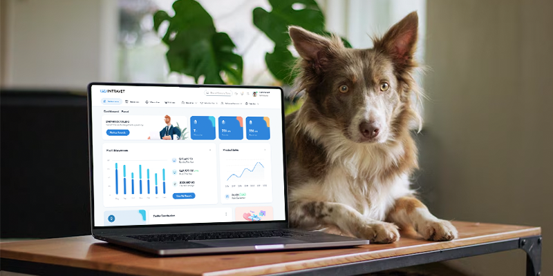 Dashboard principal
